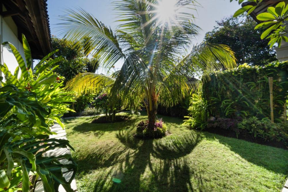 the asraya villa sanur managed by lead luxury