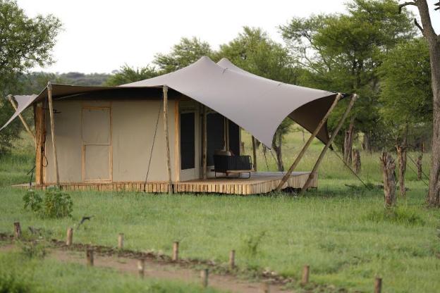 anantya serengeti