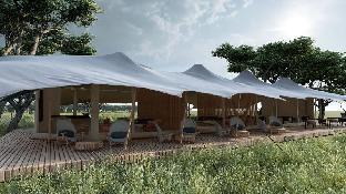 anantya serengeti