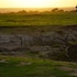 serengeti