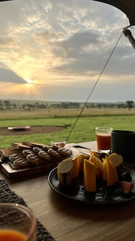 anantya serengeti