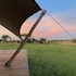 serengeti