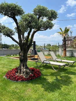 royalova hotel