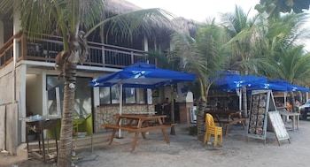 birdwatchers beachfront hotel panglao