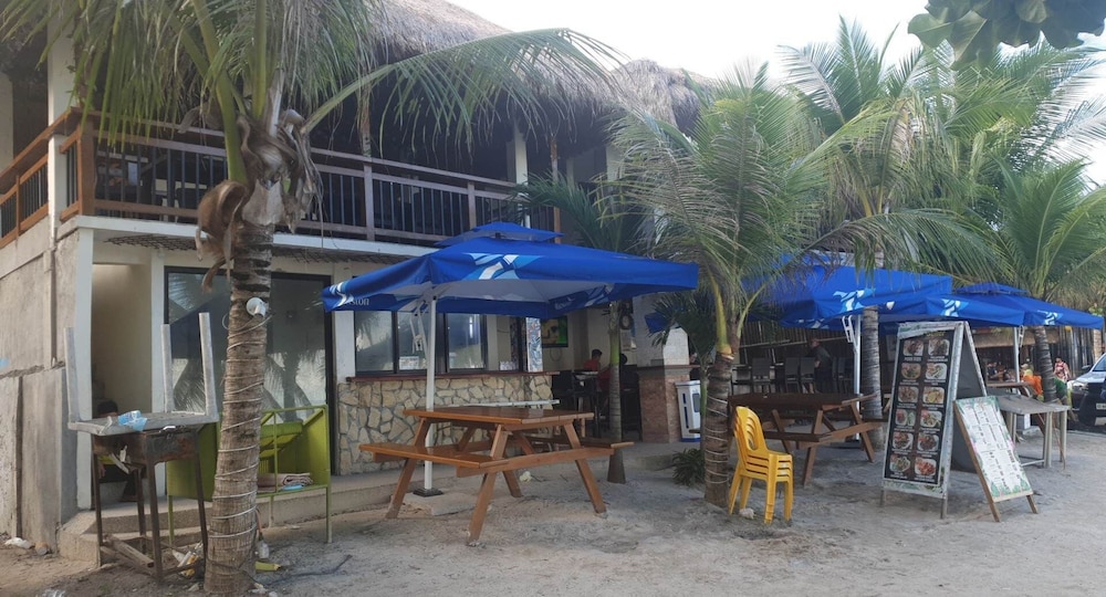 birdwatchers beachfront hotel panglao