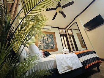 birdwatchers beachfront hotel panglao
