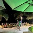 birdwatchers beachfront hotel panglao