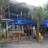 panglao