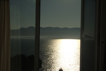 ordu
