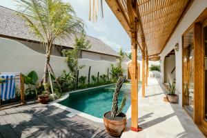 canggutopia by alfred in bali