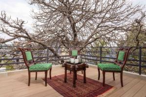 ama stays and trails raman villa shimla