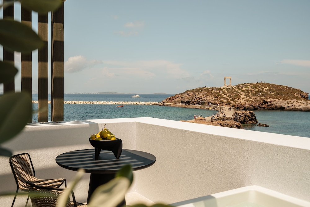 naxos rhyton adults only