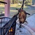 estancia grande