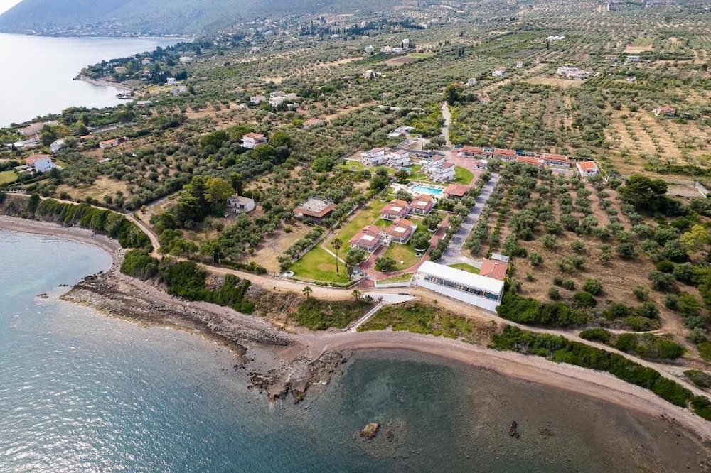 chalcis