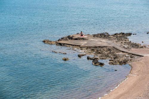 chalcis