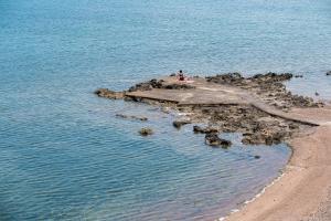 chalcis