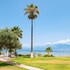 chalcis