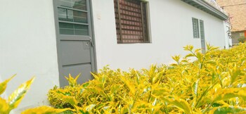 rolos apartamentos amoblados