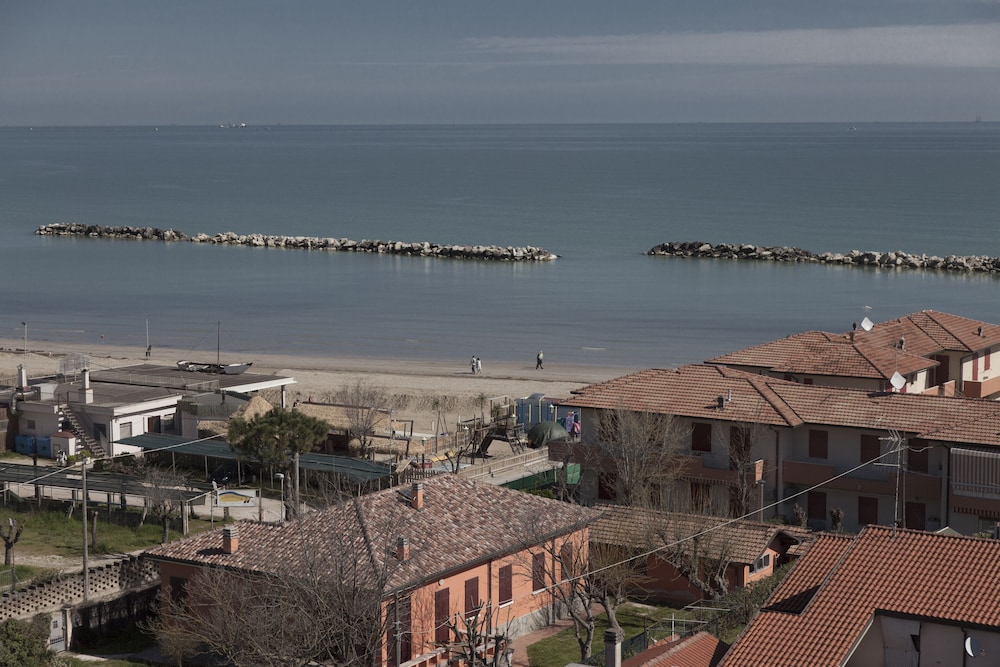 bellaria igea marina