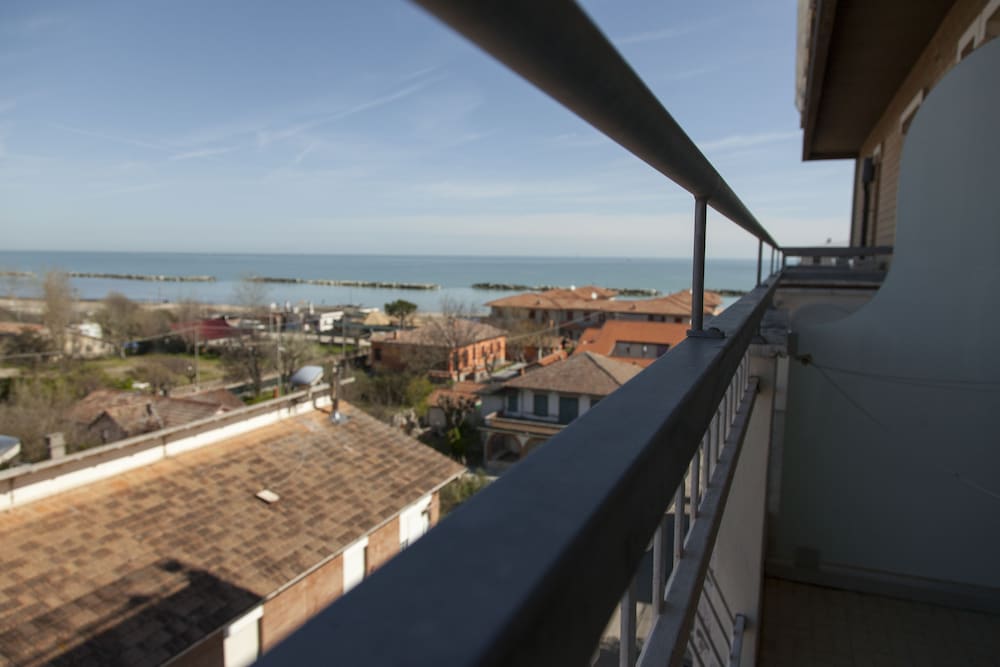 bellaria igea marina