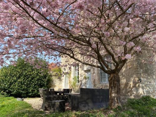 abbaye de reigny esprit de france