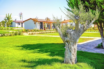 linasya otel