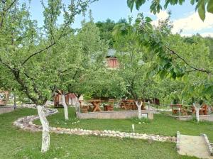 malak farma