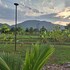 koon and nueang farm stay hua hin