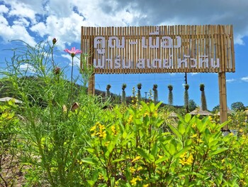 koon and nueang farm stay hua hin