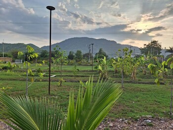 koon and nueang farm stay hua hin