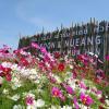 koon and nueang farm stay hua hin