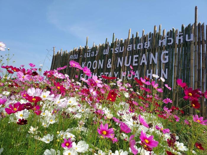 koon and nueang farm stay hua hin