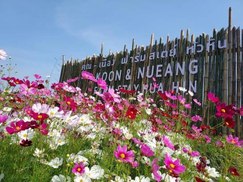 koon and nueang farm stay hua hin