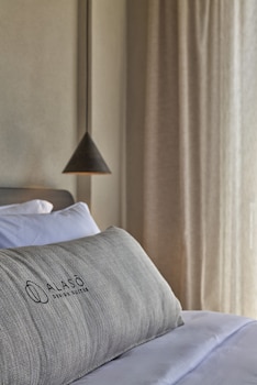 alaso design suites adults only