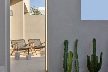 alaso design suites adults only
