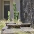 alaso design suites adults only