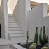 alaso design suites adults only