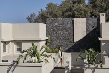 alaso design suites adults only