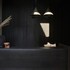 alaso design suites adults only