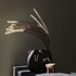 alaso design suites adults only