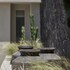 alaso design suites adults only