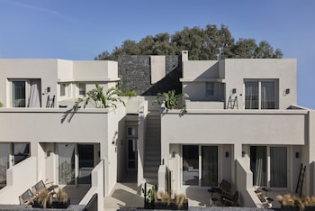 alaso design suites adults only