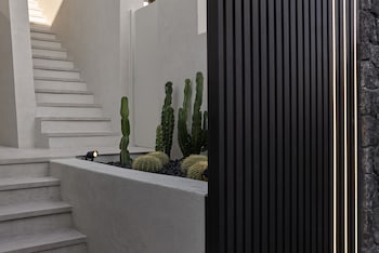 alaso design suites adults only