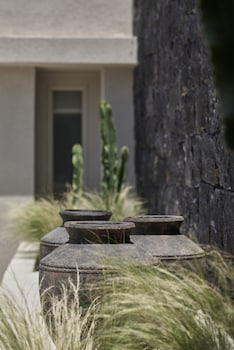 alaso design suites adults only