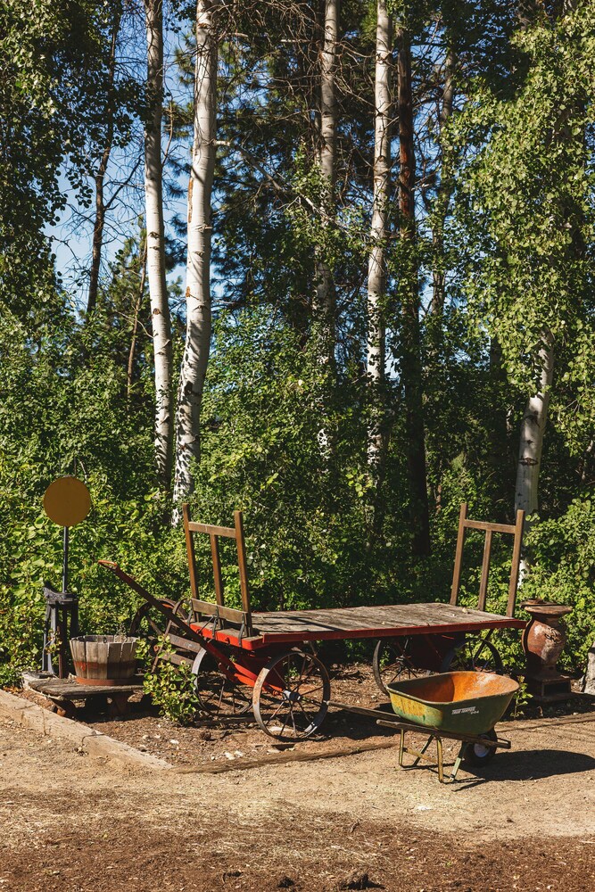 iron horse inn bed and breakfast