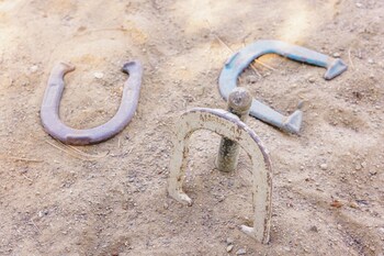 iron horse inn bed and breakfast