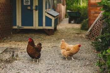 Iron Horse Inn Bed & Breakfast,South Cle Elum>>Cle Elum,2 star