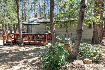 the oasis chalet