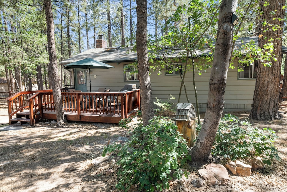 the oasis chalet