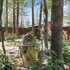 the oasis chalet